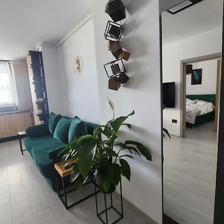 Apartment Confort Timişoara